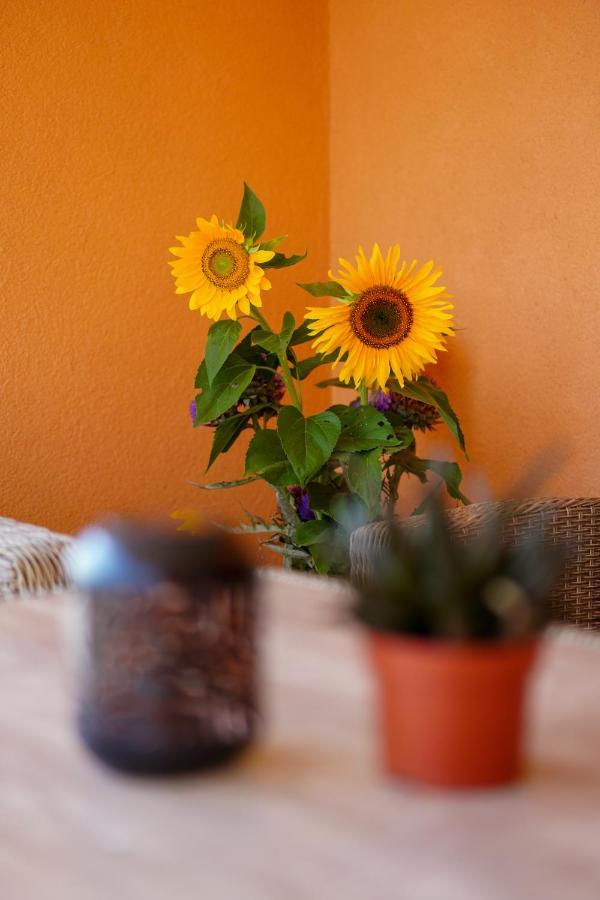 Apartmán Maslina & Lavanda Podstrana Exteriér fotografie
