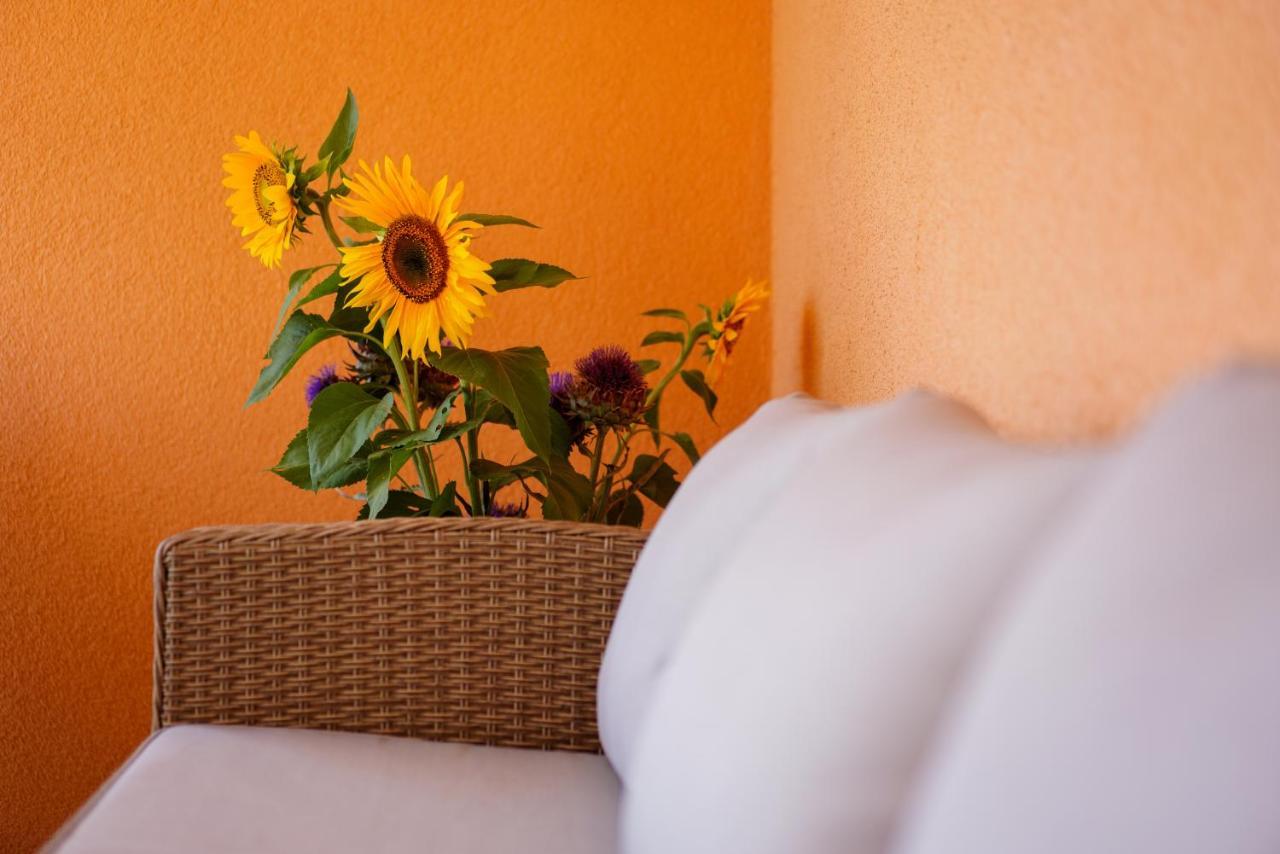 Apartmán Maslina & Lavanda Podstrana Exteriér fotografie