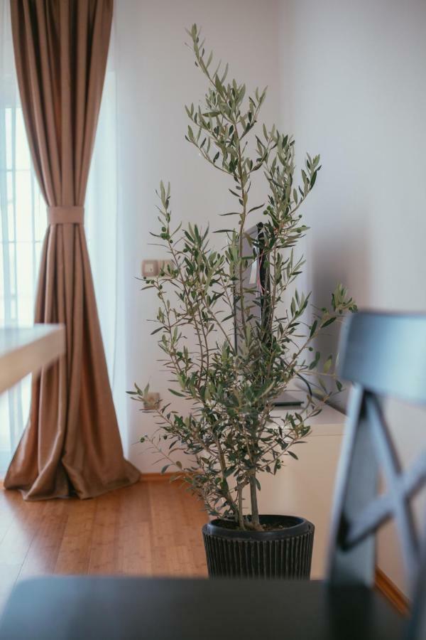 Apartmán Maslina & Lavanda Podstrana Exteriér fotografie