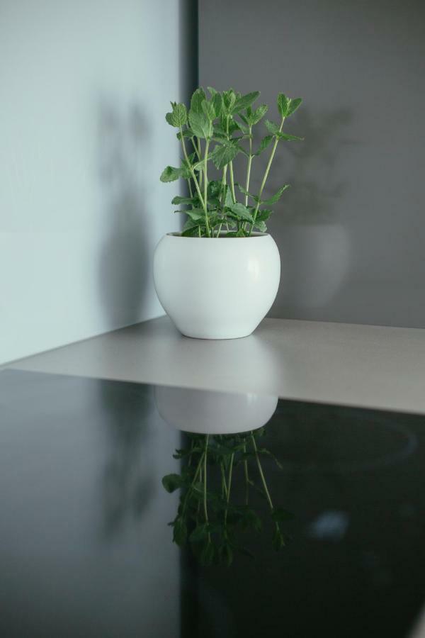 Apartmán Maslina & Lavanda Podstrana Exteriér fotografie